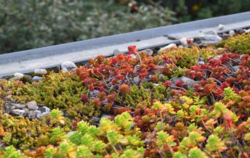 the cost of Saint Hill green roof installation