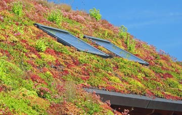 Saint Hill living roof systems
